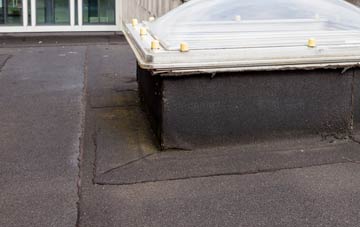 disadvantages of Stean flat roofs