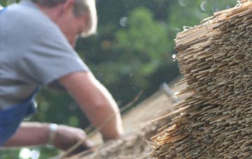 professional Stean thatchers