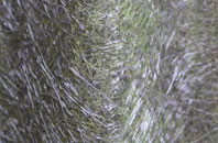 Stean fibreglass roof work